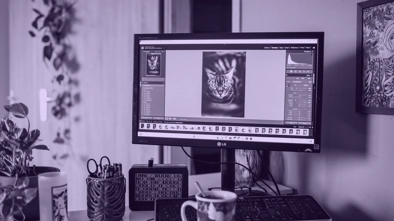 Image editing software open on a monitor.